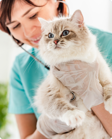 Emergency Care