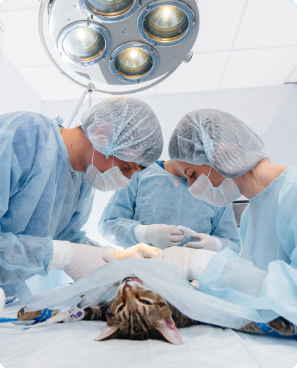 Surgery