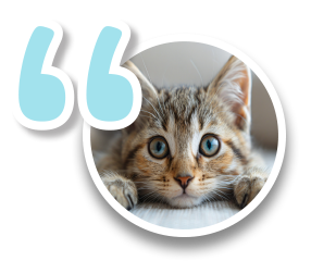 Pawsitive Reviews