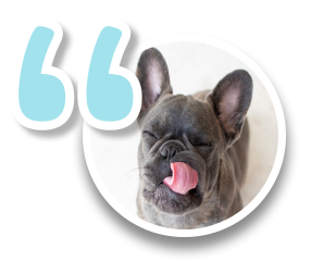 Pawsitive Reviews